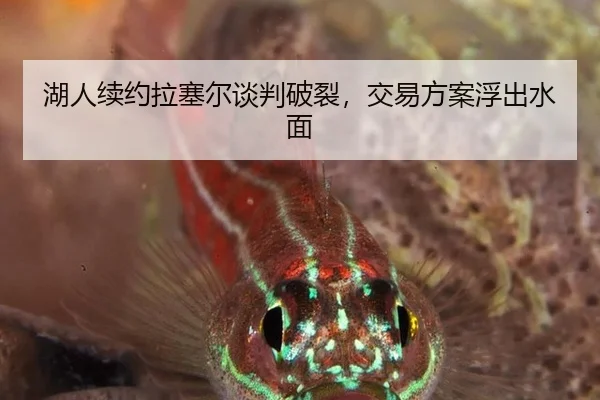 湖人续约拉塞尔谈判破裂，交易方案浮出水面
